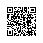 DW-12-17-T-S-300 QRCode