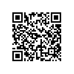 DW-13-13-T-D-787 QRCode