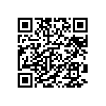 DW-17-13-L-D-963 QRCode