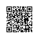 DW-20-20-T-S-787 QRCode