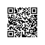 DW-38-13-F-S-935 QRCode