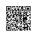 DW-41-13-F-S-955 QRCode