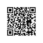 DWM-01-51-T-S-250 QRCode