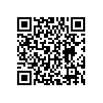 DWM-04-01-T-D-250 QRCode