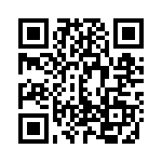 E2009 QRCode