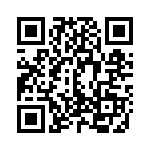 E2013 QRCode