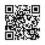 E2E-X2E1 QRCode