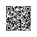 E36D6R3LPN393TA41N QRCode