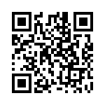 E39-F32D5 QRCode