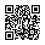 E39-P31 QRCode