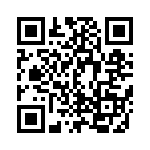 EP4CE22F17C7 QRCode