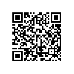 ESQT-106-02-F-D-384 QRCode