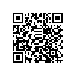 ESQT-133-02-F-S-309 QRCode