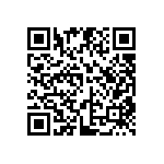 EW-04-09-G-S-385 QRCode