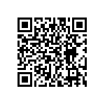 EW-17-09-S-D-300 QRCode