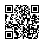 FCE17E09AD4E0 QRCode