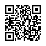 FCE17E09PA4D0 QRCode