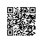 FK20C0G1H333JN006 QRCode