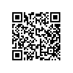 FW-13-01-G-D-300-250 QRCode