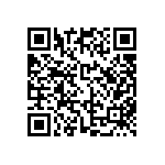 FW-13-04-F-D-200-065 QRCode