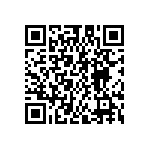 FW-23-04-G-D-250-100 QRCode