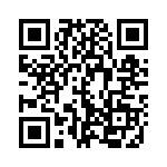 G13KB QRCode