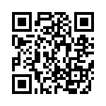 GBJ2510-G-06 QRCode