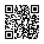 GSC17DRTS-S13 QRCode