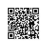 HE30807T1304PB6M QRCode