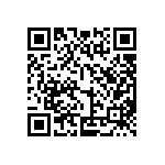 IELK111-1-63-100-Z-01-V QRCode