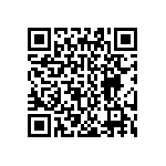 JT06RE22-55P-424 QRCode