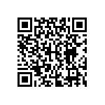 JT06RT-16-13P-023 QRCode