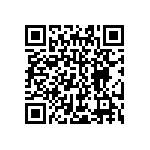 JT07RE12-98P-386 QRCode