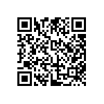 JW-04-04-T-S-450-250 QRCode