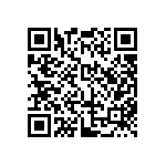 JW-13-04-T-S-450-250 QRCode