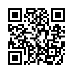 K3391251A000G QRCode