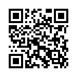 KE383151A000G QRCode