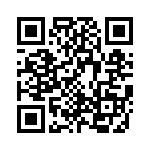 KR1301010000G QRCode