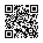 L100J250 QRCode