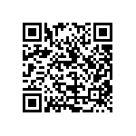 L17DBFRAA25PC309 QRCode