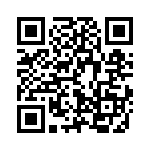 L17H1110130 QRCode