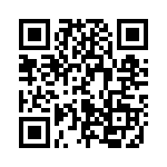 L53YT QRCode