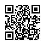 LDIN30 QRCode