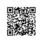 M55342H04B10E5RWS QRCode