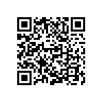 M55342H04B243ERWS QRCode