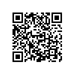 M55342H04B301ARWS QRCode