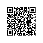 M55342H04B42B2RT5 QRCode