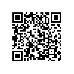 M55342K03B17B2RT5 QRCode