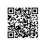 M55342K03B348ARWS QRCode