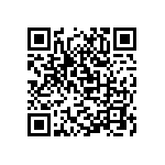 M55342K03B49D9RWSV QRCode